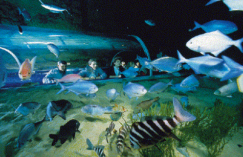 Mankato Under Water World Park